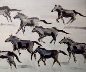 Katarzyna Kostecka, Dzikie konie
