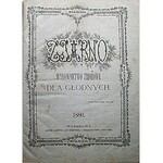 ZIARNO. Wydawnictwo zbiorowe dla głodnych. W-wa 1880. Drukiem S. Lewentala, Jana Noskowskiego, S...