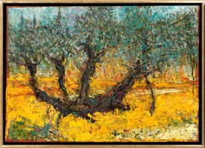 Grzegorz Ratajczyk (Ur.1960), Drzewo oliwne w ogrodzie Getsemani, 2016
