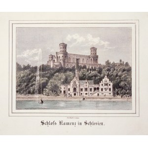 KAMIENIEC ZĄBKOWICKI. Panorama zamku; lit. Th. Busch, Zittau 1866; lit. kolor., st. bdb.; wym.: 136x ...