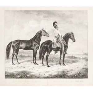 HOLSZTYN. Koń holsztyński; rys. Kuntz, 1830, lit. J. Velten, pochodzi z: Abbildungen saemmtlicher Pf ...