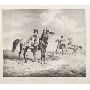 POLSKA. Koń polski; rys. Kuntz (1831), lit. J. Velten, pochodzi z: Abbildungen saemmtlicher Pferde-R ...