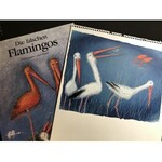 Józef Wilkoń,ilustracja do książki Flamingos