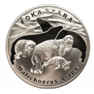 Polska, Rzeczpospolita Polska od 1989, 20 złotych 2007 Foka szara