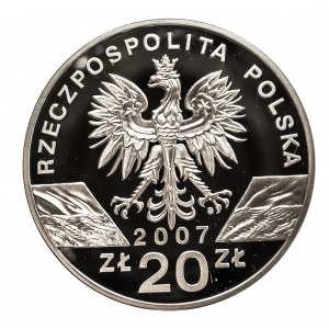 Polska, Rzeczpospolita Polska od 1989, 20 złotych 2007 Foka szara