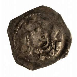 Niemcy, Regensburgia, Biskupstwo, Leo Thundorfer 1262-1277, fenig