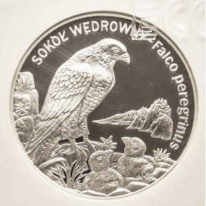 Polska, Rzeczpospolita Polska od 1989, 20 złotych 2008 SOKÓŁ.