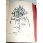 KOLBERG - MAZOWSZE Obraz etnograficzny Tom I-V 1885r. drzeworyty i barwne litografie Gersona