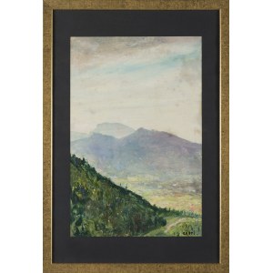 Irena Weiss-Aneri, MOUNTAIN LANDSCAPE