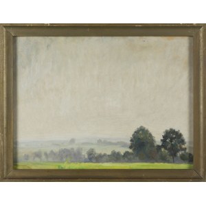 Irena Weiss-Aneri, FOGS