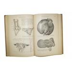 STEUERT - Księga zdrowego i chorego zwierzaka z 372 ilustracjami / Das Buch vom gesunden und kranken Haustier mit 372 Abbildunegn