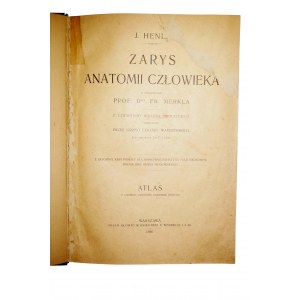 HENL J. - Zarys anatomii człowieka w opracowaniu dr prof. Fr. Merkla, 1916r. Warszawa