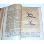 DÖBEL - NEUERÖFFNETE JÄGER-PRACTICA cz.1-4 wyd. 1783