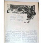 WILD UND HUND. Illustrierte Jagdzeitung 8. Jahrgang. 1902