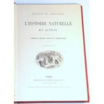 DE CHERVILLE - HISTOIRE NATURELLE EN ACTION CROQUIS CONTES wyd. 1880