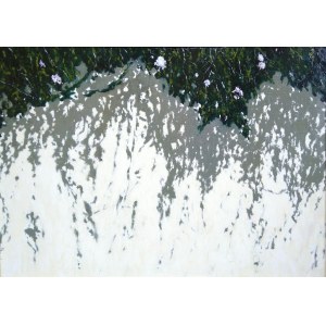 Jacek Barszcz, The Wall of Petit Jean.