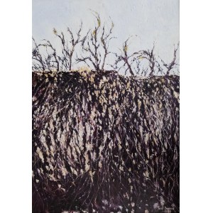 Jacek Barszcz, Arbres derrière la clôture. Paysage d'hiver de Kazimierz Dolny.