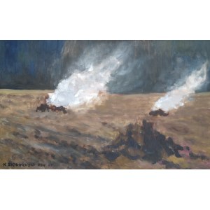 Katarzyna Slowikowska, Excavation