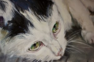 Katarzyna Bukowska, Pet Portrait