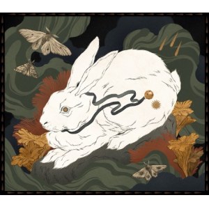 Martyna Kostrzycka, White Rabbit