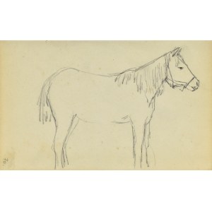 Jacek MALCZEWSKI (1854-1929), Koń stojący ukazany z prawego boku