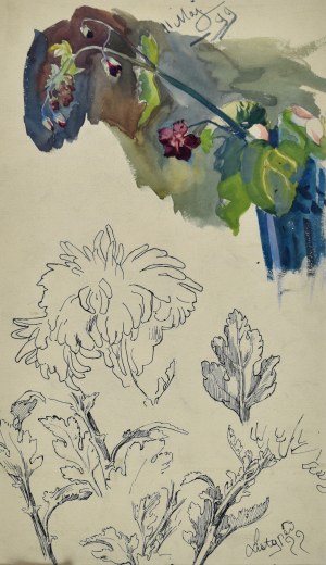 Stanisław KAMOCKI (1875-1944), Studia gałązki z polnymi kwiatami, chryzantemy, V, XI 1899