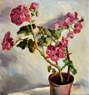 Stanisław RACZYŃSKI (1903-1990), Pelargonie w doniczce