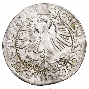 Zygmunt II August, półgrosz 1565