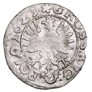 Zygmunt III Waza, grosz 1623, Bydgoszcz - 16Z3, rozety