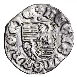 Węgry, Zygmunt Luksemburski, denar 1390-1427, Buda