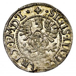 Zygmunt III Waza, półgrosz 1620 - rzadkość, piękna