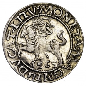 Zygmunt II August, półgrosz 1565 - L/LITV