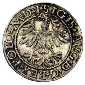 Zygmunt II August, półgrosz 1565 - L/LITV