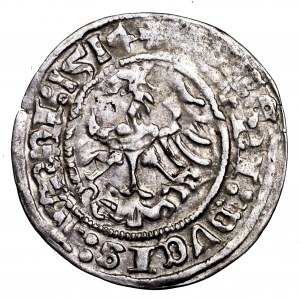 Zygmunt I Stary, półgrosz 1514, Wilno - destrukt, ciekawy, dwie daty