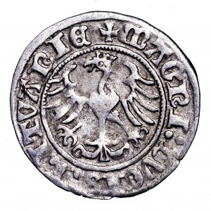 Zygmunt I Stary, półgrosz 1511, Wilno