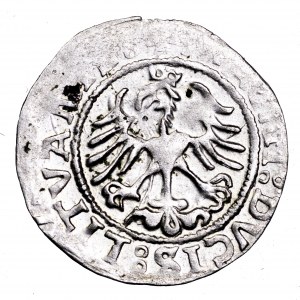 Zygmunt I Stary, półgrosz 1522, Wilno