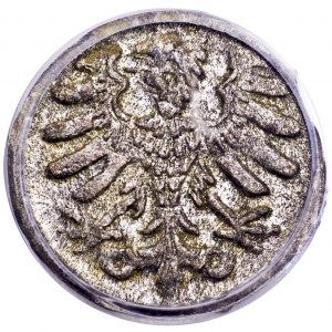 Zygmunt I Stary, denar koronny bez daty, Kraków - PCGS MS62