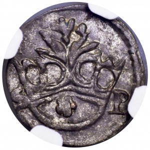 Zygmunt I Stary, denar koronny S-P, Kraków - NGC MS61