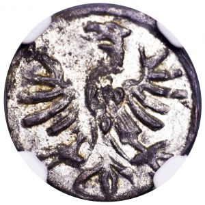 Zygmunt I Stary, denar koronny S-P, Kraków - NGC MS61
