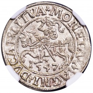 Zygmunt II August, półgrosz 1547, Wilno - NGC MS63