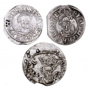 Zygmunt III Waza, zestaw 3 szelągów litewskich (1616,1626,1627)