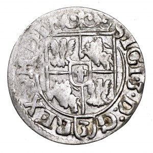 Zygmunt III Waza, półtorak 1621, Bydgoszcz - trójlistki