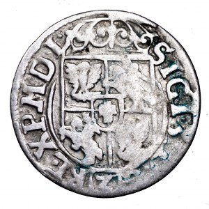 Zygmunt III Waza, półtorak 1622, Bydgoszcz - SIGI