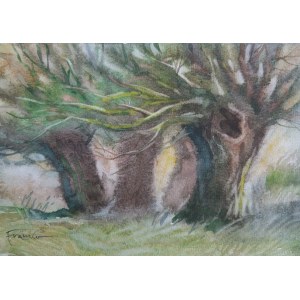 Alexander Franko, Willows.