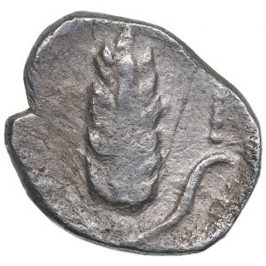 Lucania - Metapontion AR Diobol - (circa 325-275 BC)