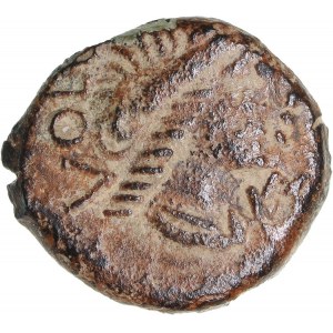 Gaul, Southern - Volcae-Arecomici Æ (circa 77-44 BC)