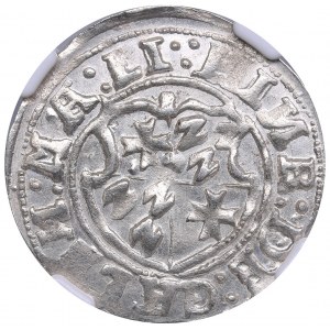 Reval Ferding 1555 - Heinrich von Galen (1551-1557) NGC MS 62