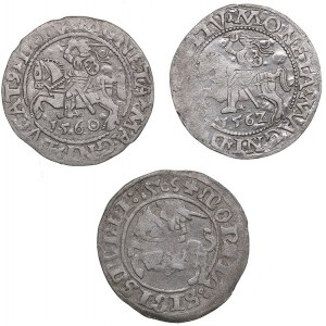 Lithuania 1/2 grosz 1509-1562 (3)