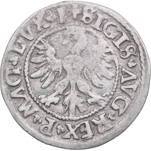 Lithuania 1/2 grosz 1546 - Sigismund II Augustus (1545-1572)