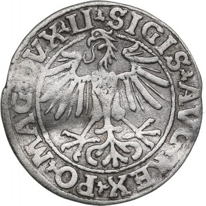 Lithuania 1/2 grosz 1550 - Sigismund II Augustus (1545-1572)